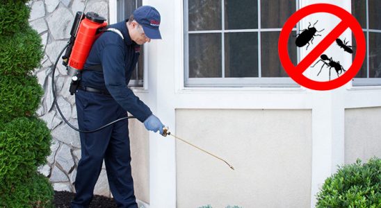 Ömerli Bit İlaçlama böcek ilaçlama ve haşere kontrolü — ilaclama-tr.com